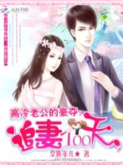 高冷老公的豪夺：追妻100天