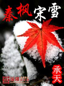 秦枫宋雪