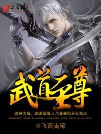 武道至尊